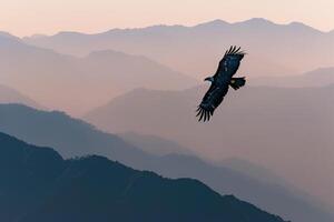 Eagle Soaring High Above a Mountain Range. Nature Background photo