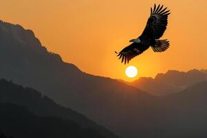 A bald eagle soaring high above a mountain range. with the sun rising in the background. Nature. Background photo