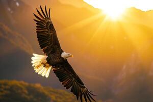 A bald eagle soaring high above a mountain range. with the sun rising in the background. Nature. Background photo