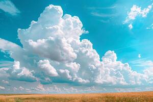 Fluffy White Clouds Floating Over Wheat Field Nature Background photo