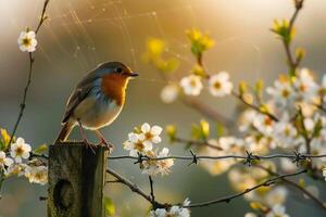 Curious robin perched on a fence post in a blossoming garden. background nature photo