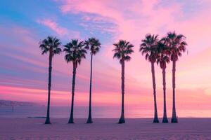 Sandy Beach with Palm Trees Against Sunset Sky Background photo