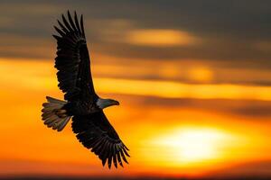Silhouette of American Bald Eagle Flying Against Sunset Sky with American Flag Background photo