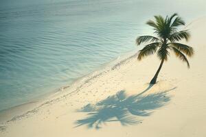 Island Beach with Lone Palm Tree Casting a Shadow photo