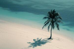 Tranquil Island Beach with a Lone Palm Tree Casting a Shadow photo