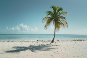 Island Beach with Turquoise Waters and Sailboat in Calm photo