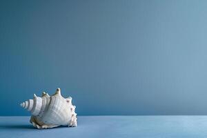 Blue Gradient Background with Single Seashell photo