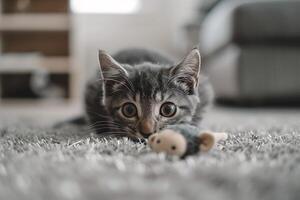 Gray tabby cat camouflaged while playfully attacking a toy mouse background photo