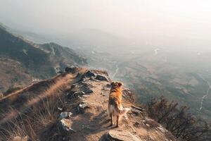 Dog Hiking Uphill on a Mountain Trail with a Panoramic   of Valleys Below photo
