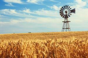 Classic Windmill in Gen Wheat Fields with Blue Sky photo