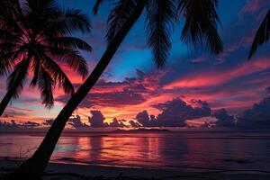 Palm Trees Silhouetted Against  Sunset Sky on Tropical Beach photo