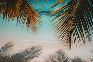 Tropical palm fringed beach with pristine white sands and crystal  water sunny and inviting background photo