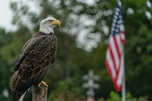 American Bald Eagle Displaying Pride with the American Flag in the Background Representing National Strength photo