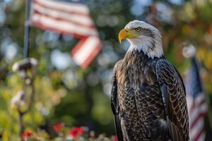 American Bald Eagle Perched Proudly with an American Flag in the Background Symbolizing Freedom and Strength photo