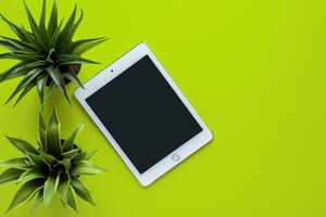 Tablet Screen Mockup with Lime Green Studio and Potted Plant photo