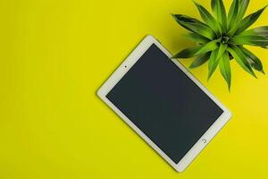 Tablet Screen Mockup in Lime Green Studio with Potted Plant Contemporary Setup photo