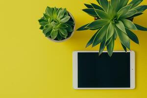 Tablet Screen Mockup with Lime Green Studio Potted Plant   Aesthetic photo