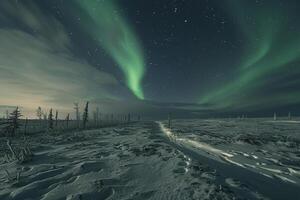Arctic tundra illuminated by the Northern Lights offering a stunning winter spectacle photo