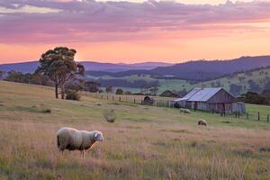 Rustic Farmstead with Rolling Hills and Grazing Sheep Under a Pastel Sky photo