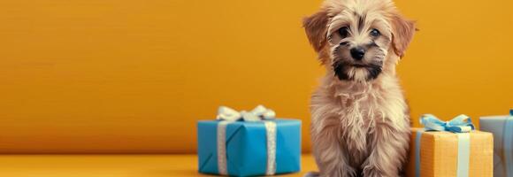 Adorable Puppy Surrounded by Colorful Gift Boxes on Bright Yellow Background photo