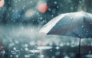 Umbrella In The Rain On City Street photo