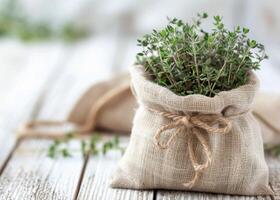 Thyme Plant in Burlap Sack on White Table photo