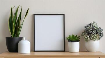 Plants and Frame on Shelf photo