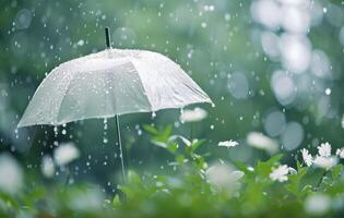 Umbrella Covered in Raindrops photo