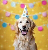 Golden Retriever Birthday Party photo