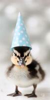 Duckling Wearing Party Hat photo