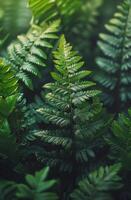 Lush Green Fern and Leaf Pattern photo