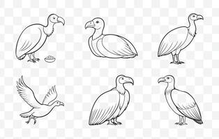 Print Condor Line Art Collection with Detailed Illustrations for Creative Designs and Artistic Projects vector