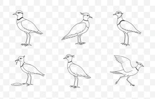 Print Comprehensive Lapwing Line Art Set for Detailed and Versatile Designs Up to 100 Unique Illustrations vector