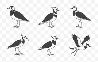 Print Comprehensive Lapwing Line Art Set for Detailed and Versatile Designs Up to 100 Unique Illustrations vector