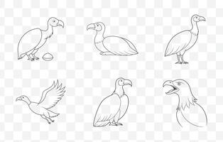 Print Detailed Condor Line Art Set with Intricate Designs Perfect for Nature and Bird Enthusiasts vector