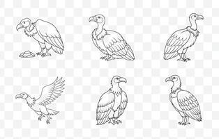 Print Elegant Vulture Line Art Set Perfect for Detailed Illustrations and Artistic Projects vector