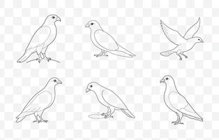 Print Sparrowhawk Line Art Set Elegant Illustrations and Designs for Graphic Art and Print Projects vector