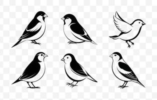 Print Finch Line Art Set Elegant and Detailed Illustrations for Graphic Design and Creative Projects vector