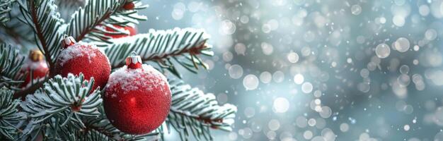 Red Ornament On Snowy Christmas Tree photo