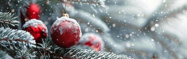Red Ornament On Snowy Christmas Tree photo