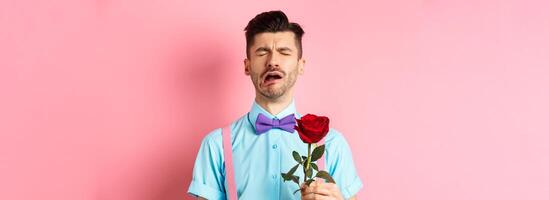 Heartbroken guy in funny bow-tie crying over girlfriend, standing alone with red rose on pink background and sobbing, break-up on Valentines day photo