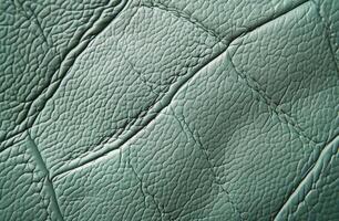 Closeup of Green Leather With Wrinkled Texture photo