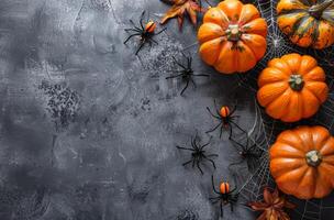 Orange Pumpkins and Black Spiders on Dark Grey Background for Halloween photo