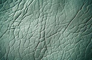 Closeup of Green Leather With Wrinkled Texture photo
