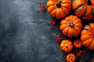 Orange Pumpkins, Fall Leaves, and Spiders on a Dark Gray Background photo