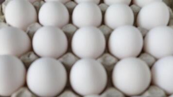 white chicken eggs in paper Tray close-up video