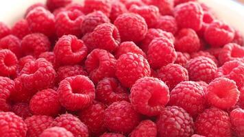 Lots of raspberries close-up. Red delicious and healthy berries. video