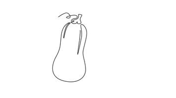 Self drawing animation of single line draw whole and sliced healthy organic butternut pumpkin for farm logo identity. Winter squash concept vegetables icon. Continuous line draw. Full length animated video