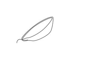 Animated self drawing of continuous line draw of sliced healthy organic hot sweet potato for orchard logo identity. Fresh ipomoea batatas concept for botanically icon. Full length one line animation video