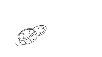 Self drawing animation of single line draw of sliced healthy organic sponge gourd for logo identity. Freshness Vietnamese luffa concept for vegetables icon. Continuous line draw. Full length animated video